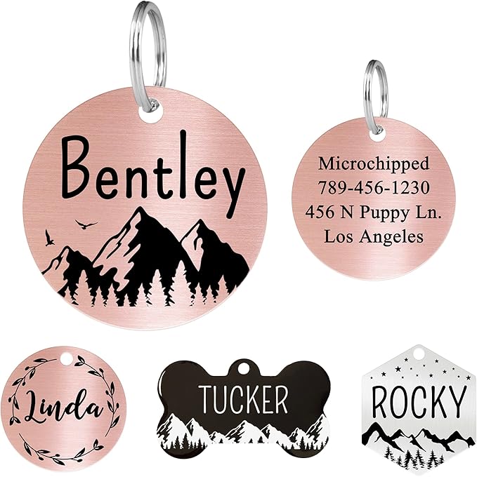 Ultra Joys Stainless Steel Dog ID Tag, Personalized Front and Back Engraving by UltraJoys