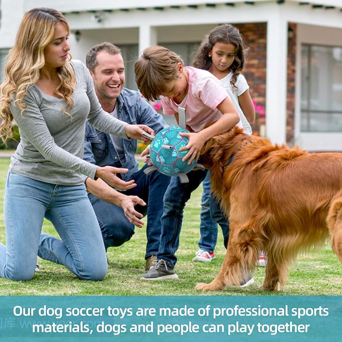 QDAN Dog Toys Soccer Ball, Tug of War Toy, Puppy Birthday Gifts, Water Toy - Image 2