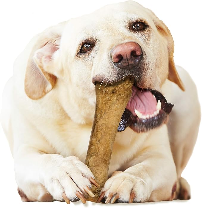 Nylabone Healthy Edibles Natural Dog Chews Long Lasting Bacon Flavor Treats - Image 11