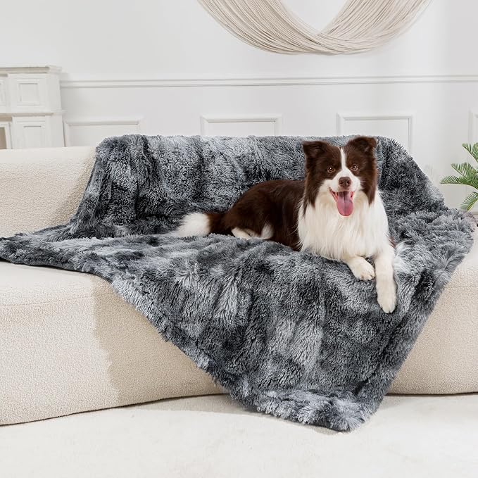 gogobunny Waterproof Dog Blanket by gogobunny
