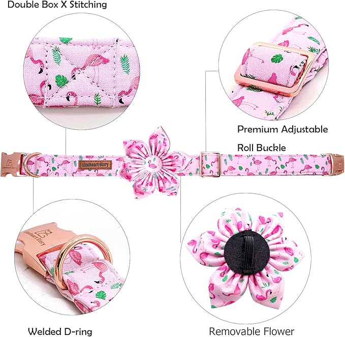 Lionheart Glory Valentine's Day Collar - Image 2