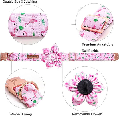 Lionheart Glory Valentine's Day Collar - Image 2