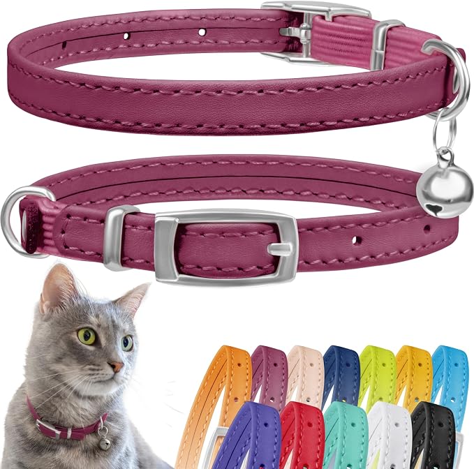 CollarDirect Leather Cat Collar by CollarDirect