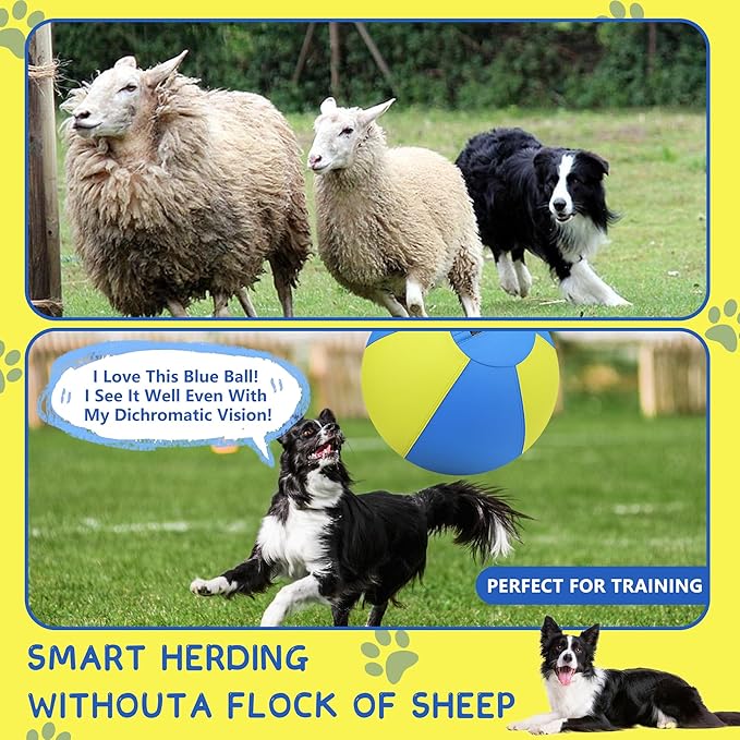 Herding Ball for Dogs and Horses - Image 3