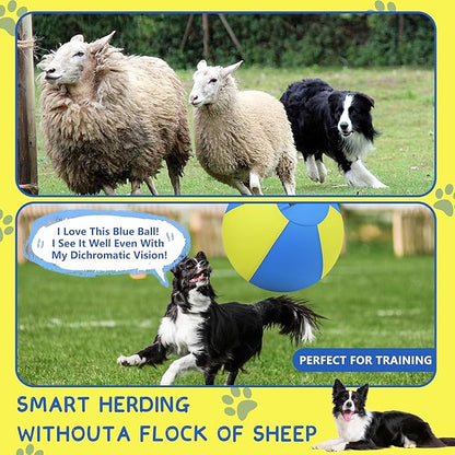 Herding Ball for Dogs and Horses - Image 3