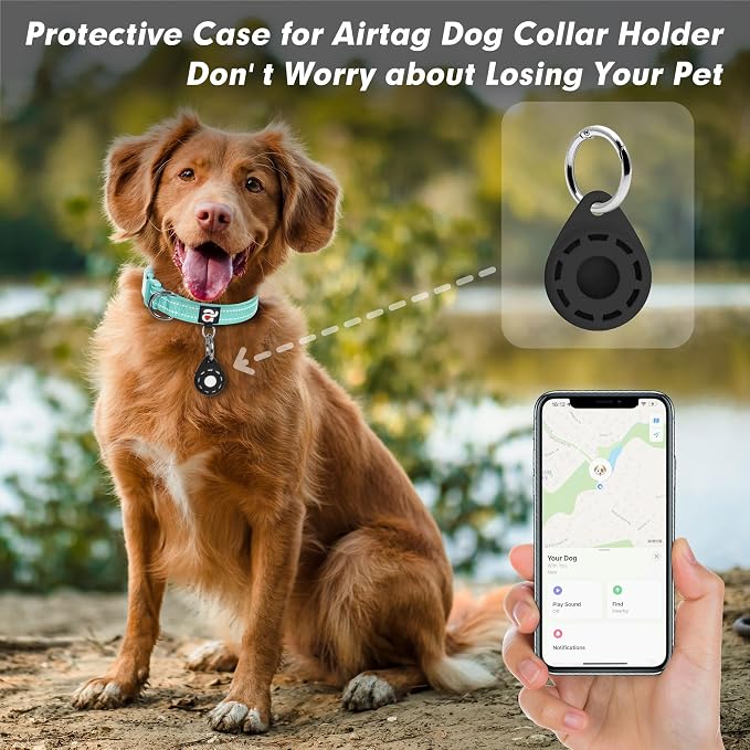 azuza Reflective Dog Collar - Image 2