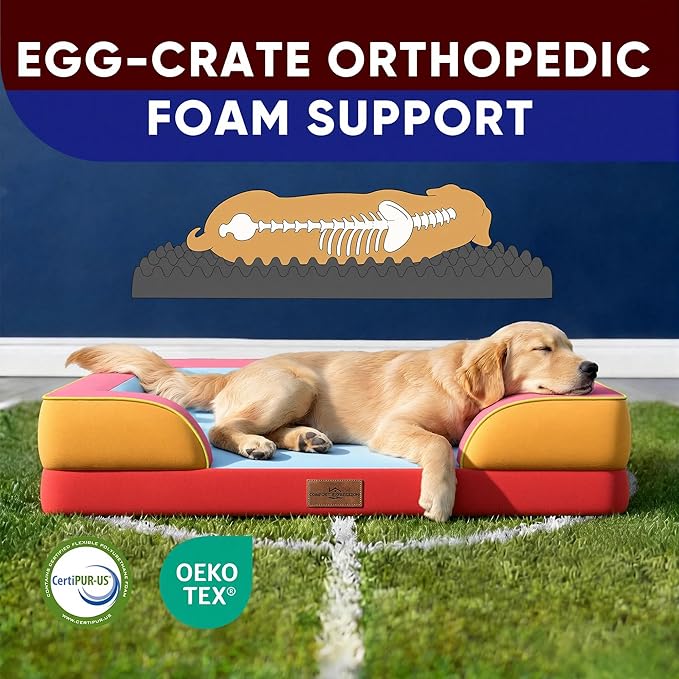 Comfort Expression Orthopedic Dog Bed - Image 3