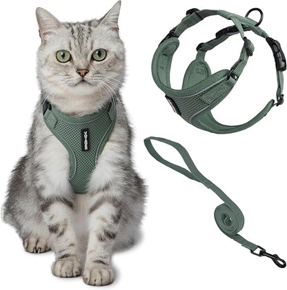 Voyager Escape-Proof Step-in Lock Cat Harness & 5ft Neoprene-Handle Leash Set by BestPetSuppliesLLC