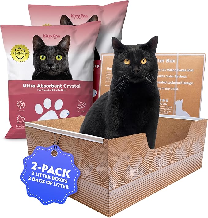 Kitty Poo Club Leakproof Disposable 2-Pack Cat Litter Box by KittyPooClub