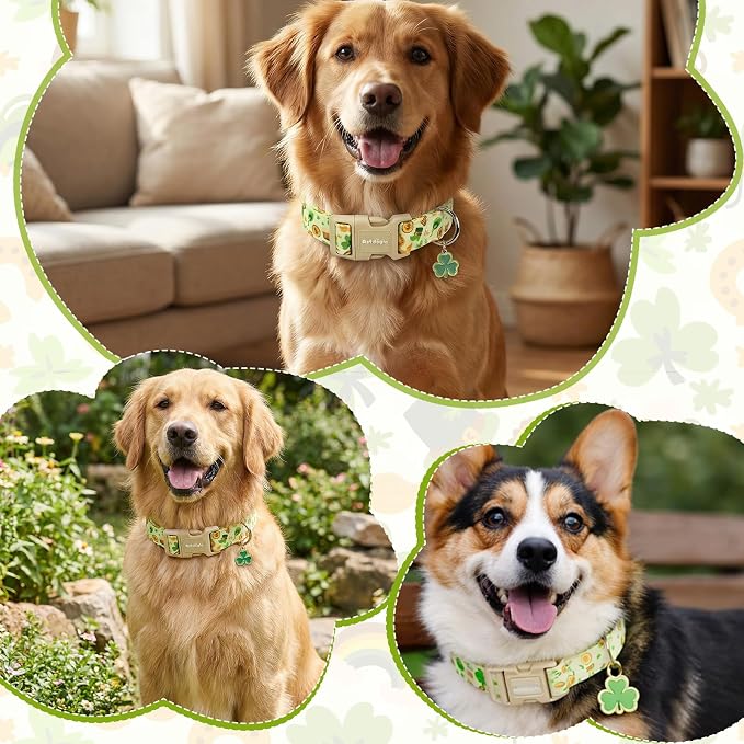 St. Patrick's Day Dog Collar, Light Green Puppy Collar - Image 5