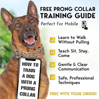 PetJett Prong Collar for Dogs - Image 7