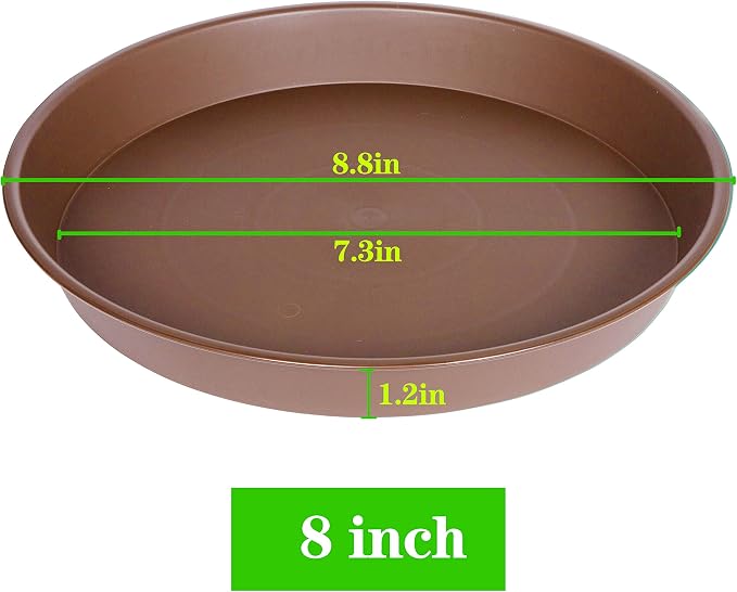 6 Pack of 8 inch Plant Saucer, Heavy Duty Plastic Plant Water Tray 8 inch Round - Image 2
