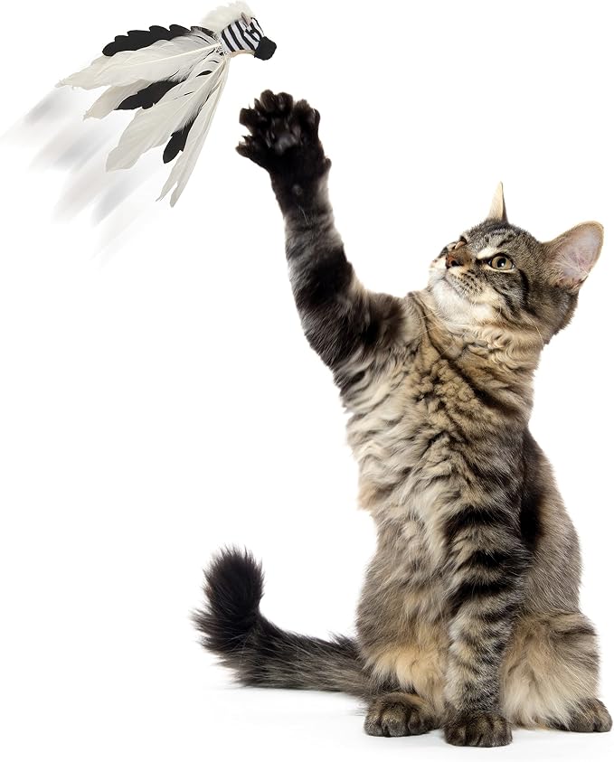 Instincts by SmartyKat HappyNip Zingy Zebra Feathered Toss & Chase Interactive - Image 4