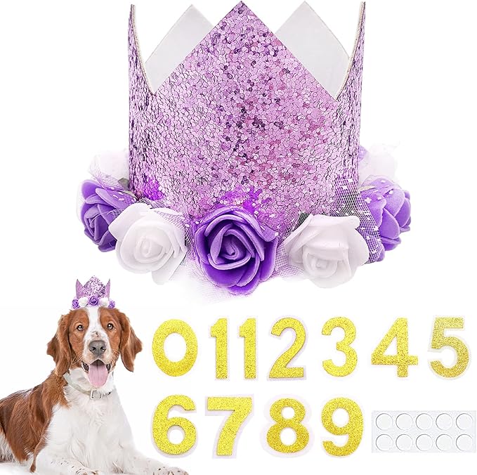 PET SHOW Purple Crown Dog Birthday Party Hat by PETSHOW