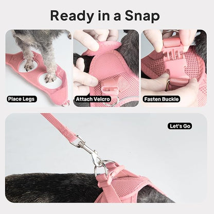 PetiFine Extra Small Step in Dog Harness and Leash Set, Cat Harness and Leash - Image 8