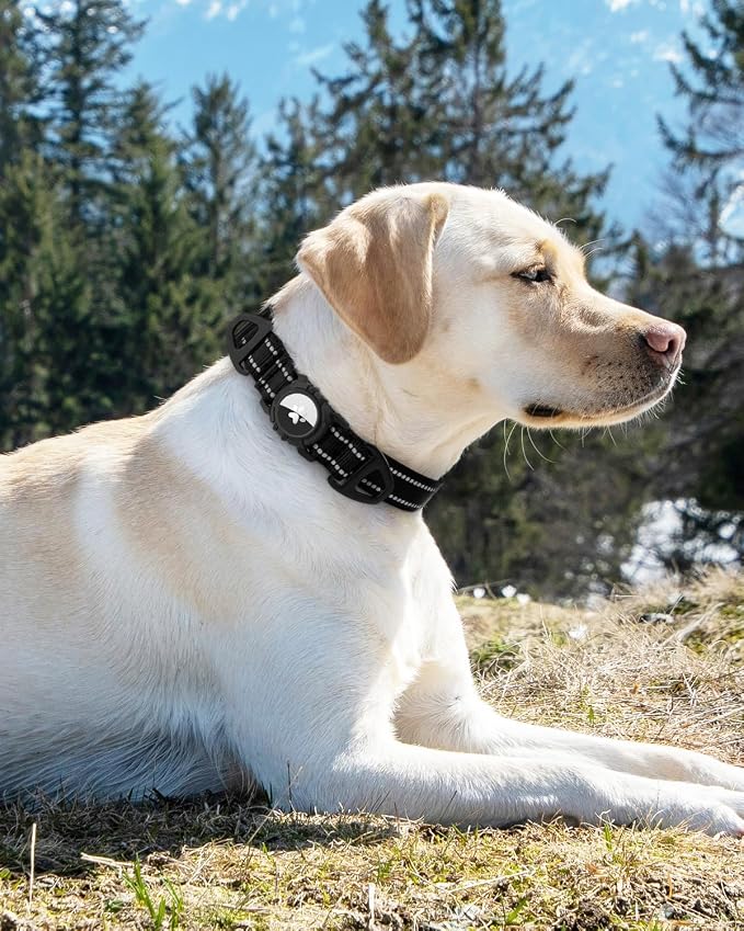 Joytale Airtag Dog Collar, Dual D-Rings, Reflective Pet Collar - Image 8