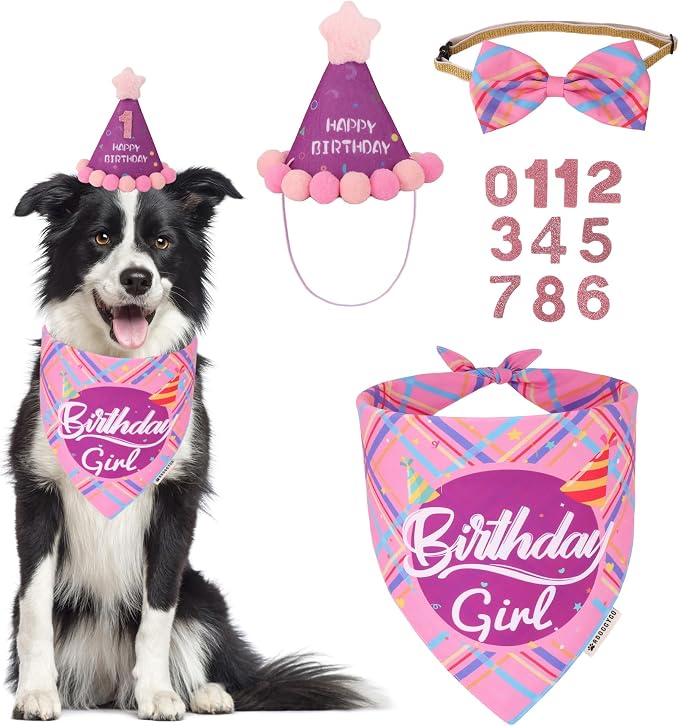 ADOGGYGO Dog Birthday Party Supplies by ADOGGYGO