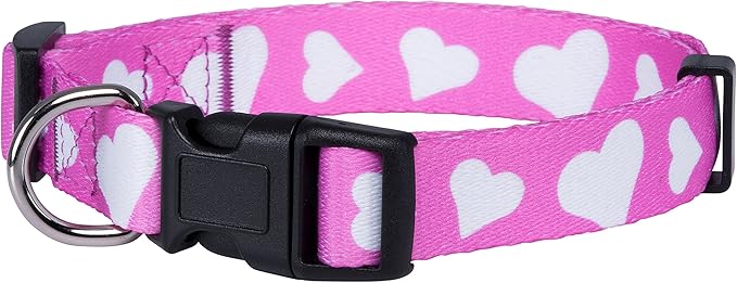 Native Pup Valentine’s Dog Collar- Valentines Day Pet Collars- Valentine Girly by NativePup