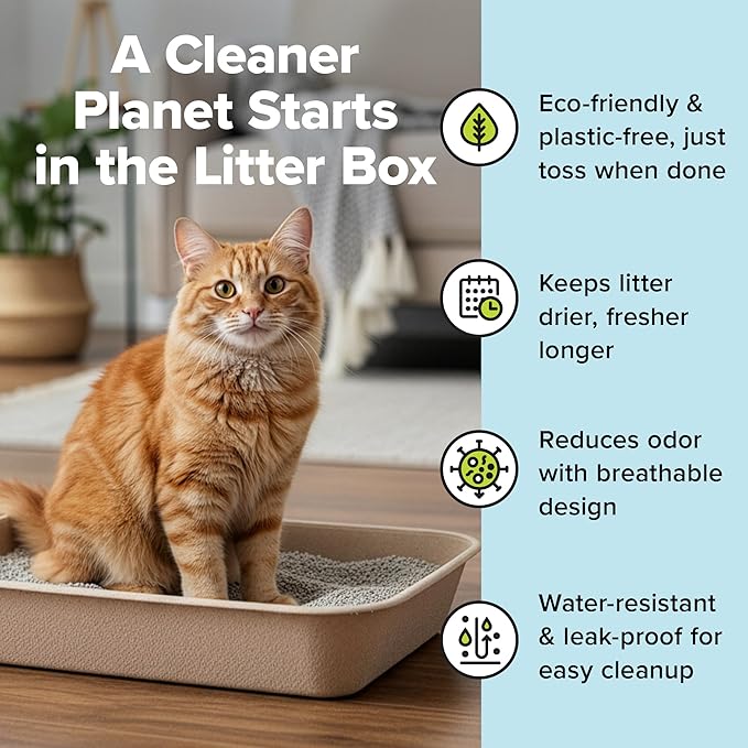 Kitty Sift Disposable Cat Litter Box Jumbo, Durable and Portable - Image 2
