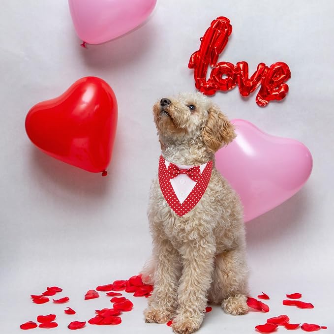ADOGGYGO Valentine Dog Tuxedo Bandana - Image 3