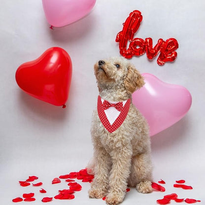 ADOGGYGO Valentine Dog Tuxedo Bandana - Image 3