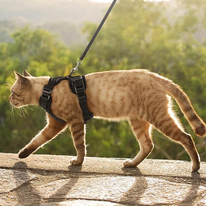 rabbitgoo Cat Harness and Leash - Image 9