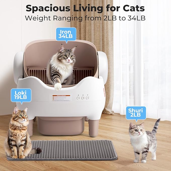 Automatic Litter Box Open Top: Self Cleaning Cat Litter Box Smart - Image 5