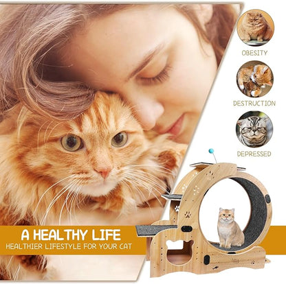 Cat Running Wheel, Cat Treadmill - Image 9