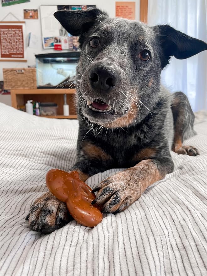 Nylabone Pretzel Power Chew Toy - Image 9