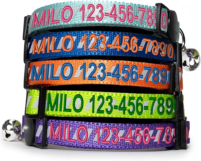 Pawtitas Personalized Orange Reflective Cat Collar – Adjustable Custom Collar by Pawtitas