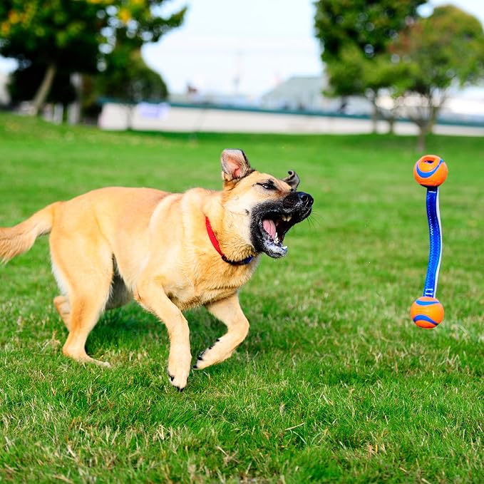 Chuckit! Ultra Duo Tug Dog Toy, Small Indoor and Outdoor Dog Ball - Image 9