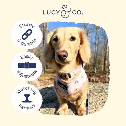 Lucy & Co. in The Clouds Dog Collar - Image 3