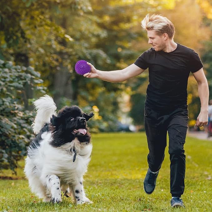 VITEVER 3 Colors 4.5” Heavy Duty Squeaky Dog Toy Balls - Image 7