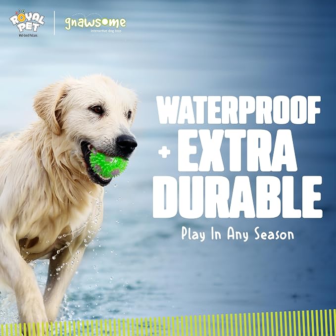 Gnawsome 2.5” Squeak & Light Soccer Ball Dog Toy - Image 4