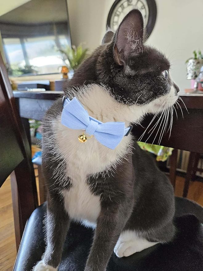 2 Pack Soft Corduroy Cat Collars - Image 6