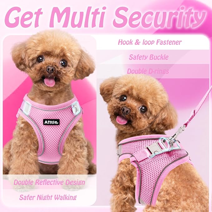 AIITLE Step in Dog Harness and Leash Set - Image 9