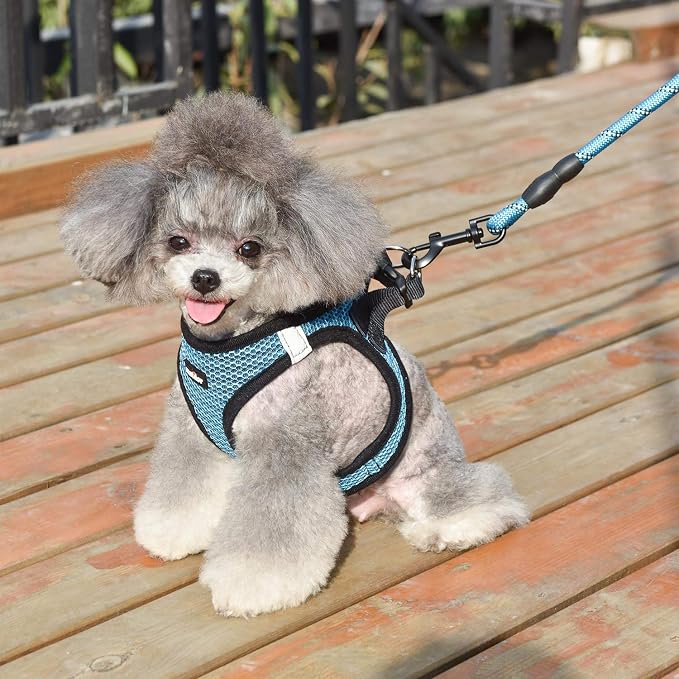 Dog Harness Step-in Breathable Puppy Cat Dog Vest Harnesses - Image 6
