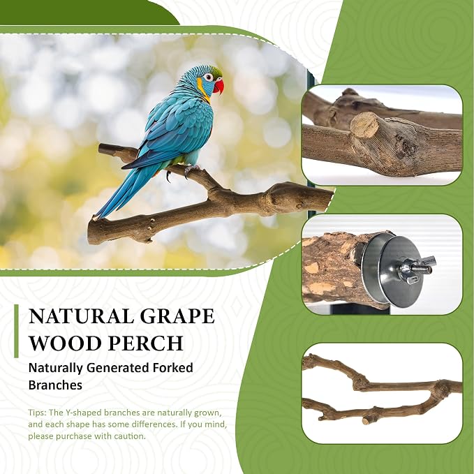 8pcs Natural Bird Perches for Cage, 5.9“ Small Wood Bird Perch for - Image 2