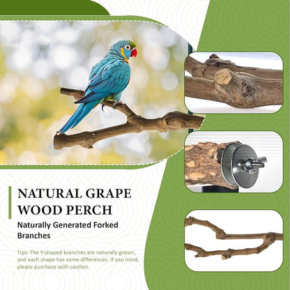 8pcs Natural Bird Perches for Cage, 5.9“ Small Wood Bird Perch for - Image 2
