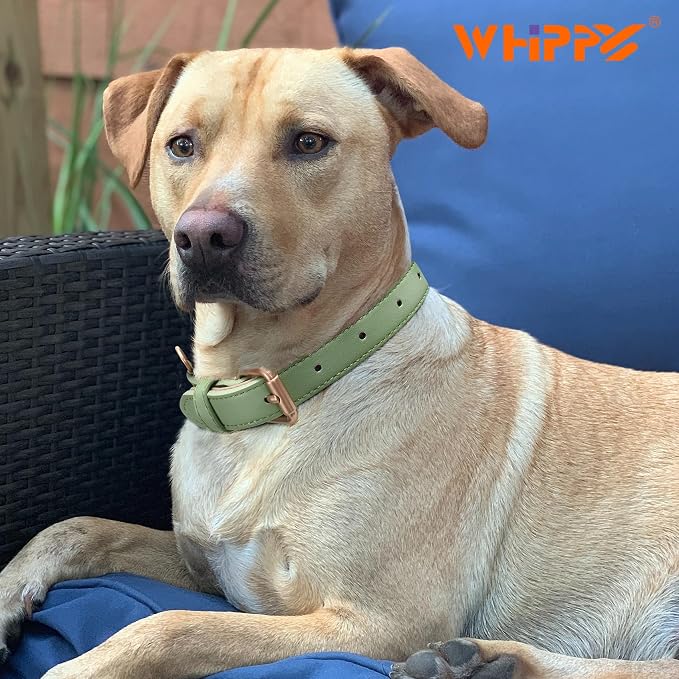 WHIPPY Leather Dog Collar for Small Medium Large Dog Adjustable Soft Breathable - Image 2