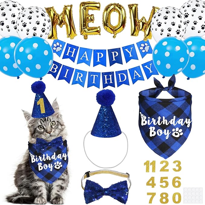 Cat Birthday Party Supplies, Cat Birthday Hat by JOTFA