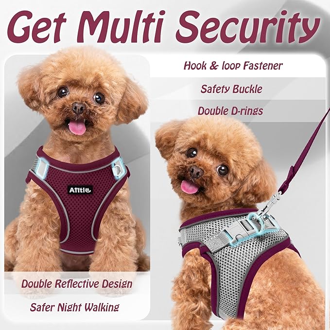 AIITLE Step in Dog Harness and Leash Set - Image 6
