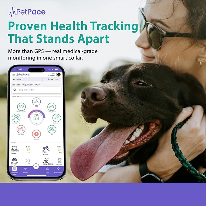 V3.0 Dog Health Monitor – AI Health Collar - Image 7