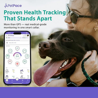 V3.0 Dog Health Monitor – AI Health Collar - Image 7