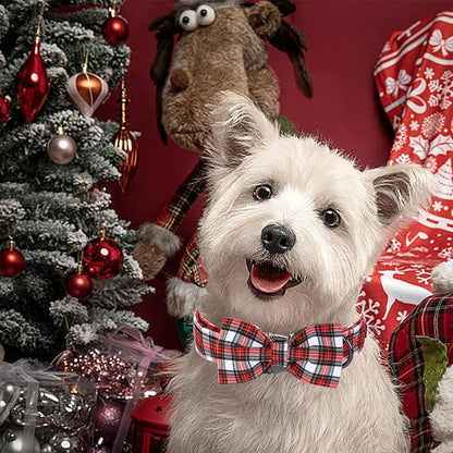 Christmas Dog Collar, Christmas Puppy Necklace - Image 5