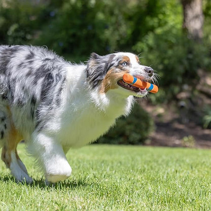 Chuckit! Interactive Dog Toy Ultra Fetch Stick Day & Night Bundle, 12 Inches - Image 5
