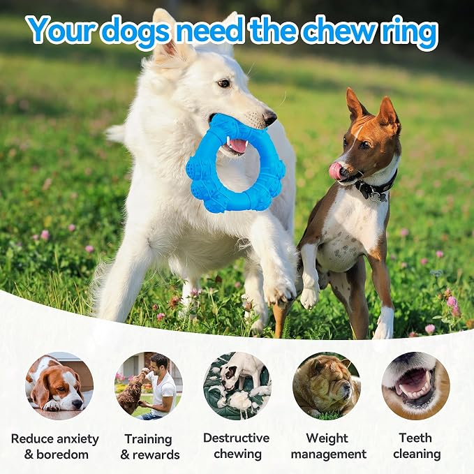 Indestructible Dog Chew Ring Toys - Image 5