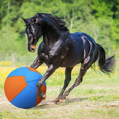 Herding Ball for Dogs and Horses - Image 9