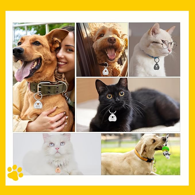 Cat Collar Tags Personalized - Image 6