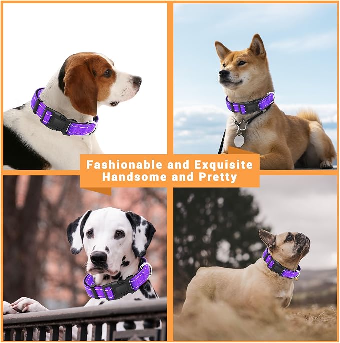 2 Pack Reflective Dog Collar - Image 5